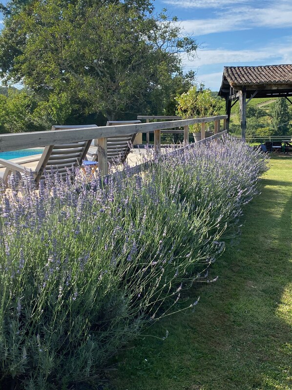 المنطقة المحيطة بالمنشأة