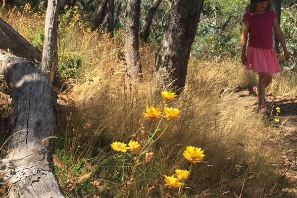 Àrea exterior de l'allotjament