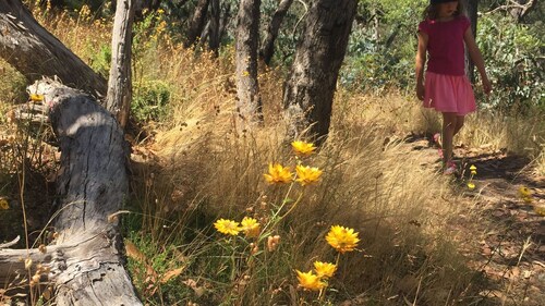 Jesmondene Daylesford