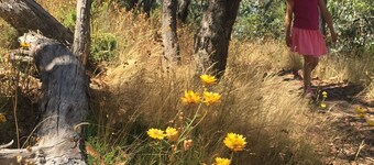 Jesmondene Daylesford