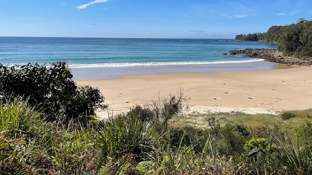 A beach with clear blue water, sandy shore, and dense greenery.