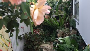 A garden pathway with stepping stones, surrounded by various plants and a pink flower in the foreground.