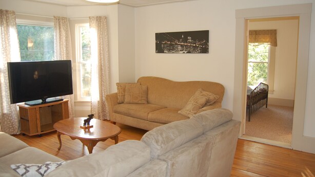 Een woonkamer met een bank, een televisie op een meubelstuk, een bijzettafeltje en een schilderij aan de muur.