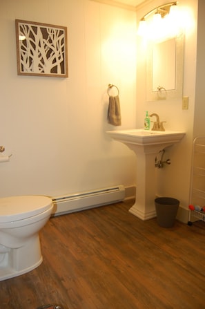 Bathroom features a pedestal sink, toilet, and mirror.