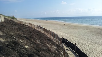 Playa en los alrededores