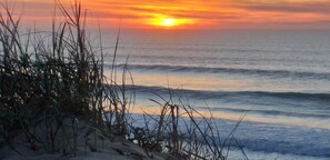 A beach scene with waves and a sunset. - WOODEN CHALET IN THE MIDDLE OF THE FOREST (Biscarrosse)