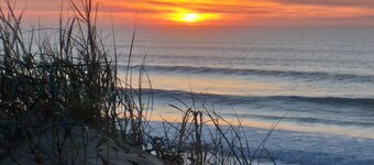 WOODEN CHALET IN THE MIDDLE OF THE FOREST