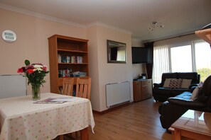 TV, DVD player, books, music library