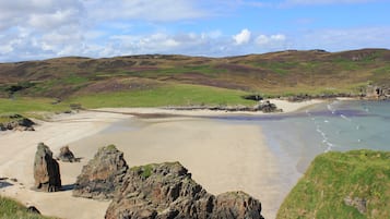 Beach nearby, sun-loungers