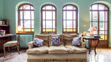 Télévision, cheminée, livres, chaßne hi-fi