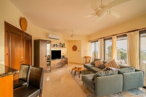 Smart TV, reproductor de DVD, libros y videoteca 