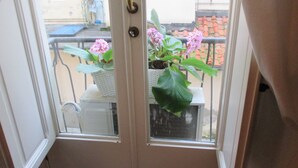 Una puerta con un ventanal, un balcón con barandilla y una maceta con flores rosadas.