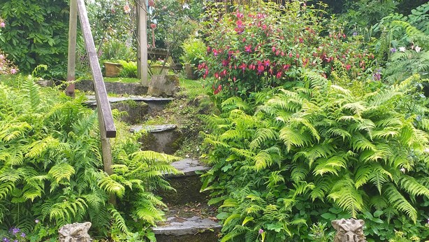 A stone staircase surrounded by lush greenery and flowering plants. - Character Cottage With Pretty, Secluded Garden (St Teath)