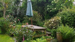 A lush garden with a wooden bench, potted plants, and a variety of flowering shrubs. - Character Cottage With Pretty, Secluded Garden (St Teath)