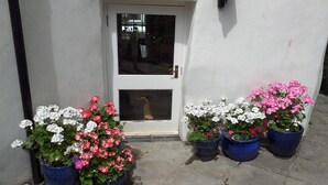 A white door with a window, flanked by blue flower pots on a tiled pavement. - Character Cottage With Pretty, Secluded Garden (St Teath)
