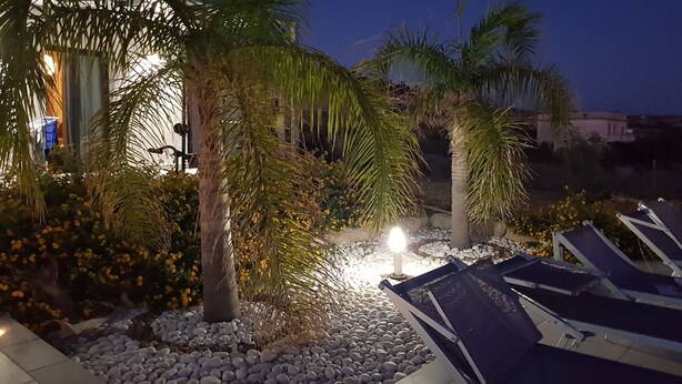 Een verlichte buitenruimte met palmbomen, een pad van witte kiezelstenen en lounge stoelen.
