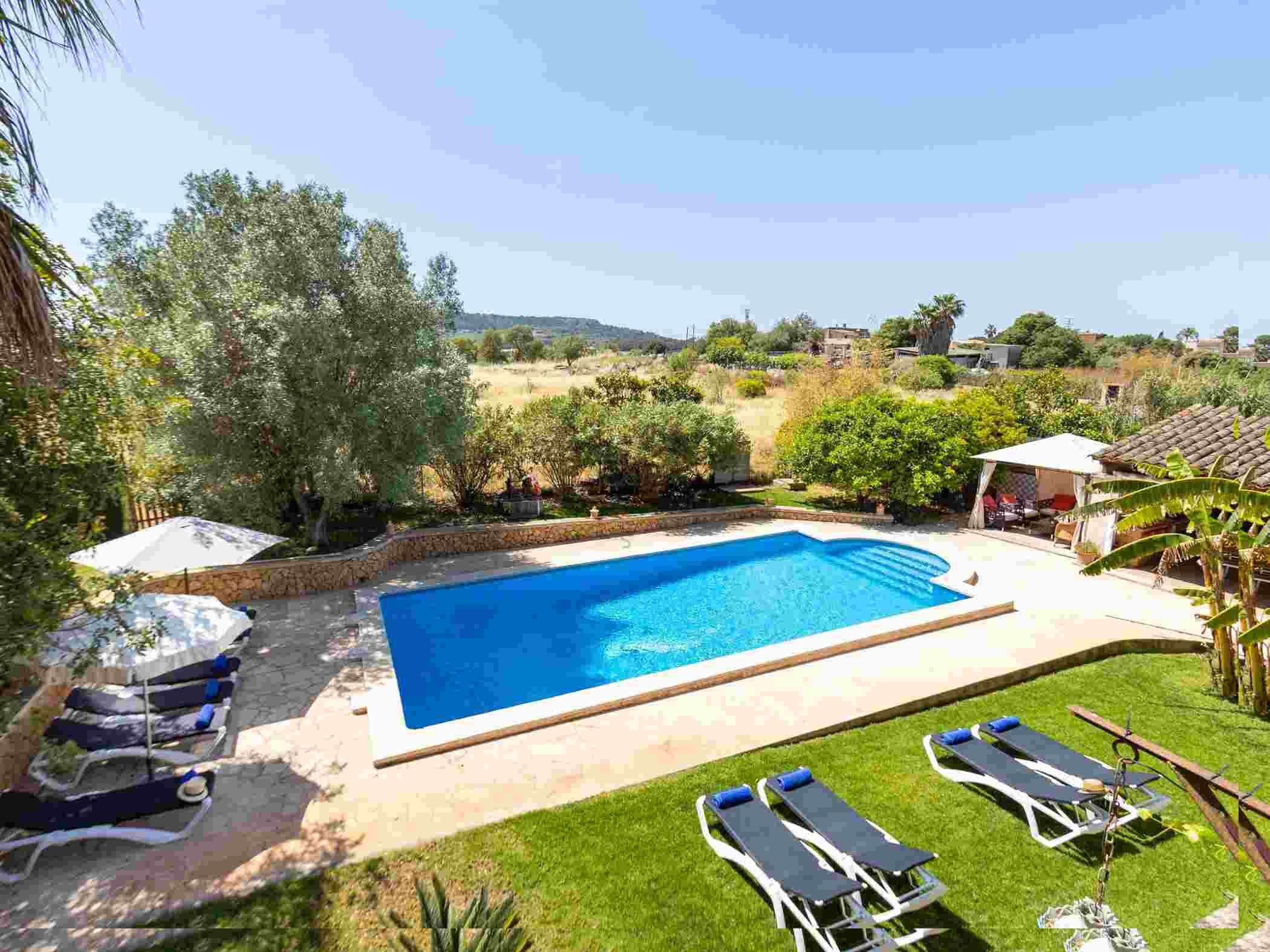 Une piscine rectangulaire bordée de pierres, entourée d’une pelouse verdoyante et ombragée par des arbres. Des chaises longues et des parasols sont disposés au bord de la piscine.