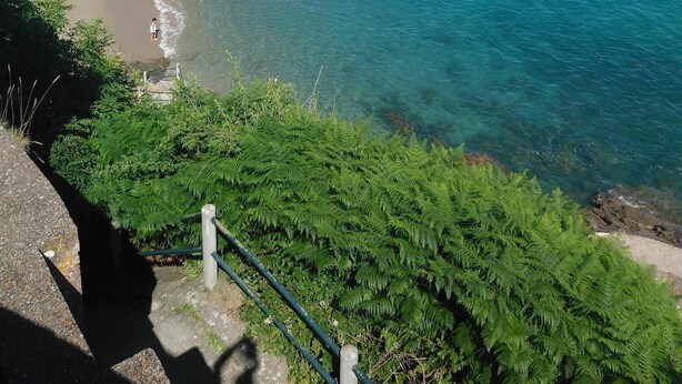 A coastal view with a clear blue sea, a sandy beach, and a stone wall with greenery.