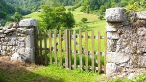 A stone wall with a wooden gate leading to a lush green landscape. - Casa Dolores for 6 people (Cabrales)