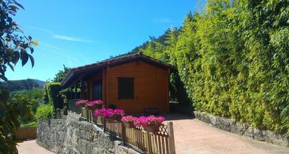 Casa con vistas a la Ría de Vigo,  2/3 plazas en Pontevedra