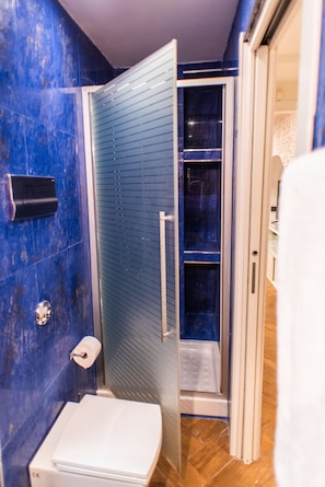 Bathroom features a shower area with a glass enclosure and a toilet.