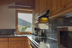 Fridge, oven, stovetop, dishwasher - Very quiet roof holiday apartment, vast ski resort very close (Klosters-Serneus)