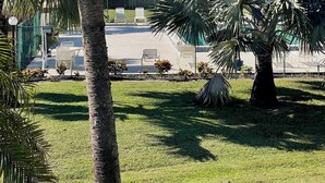 A well-maintained outdoor area with palm trees, a fenced patio with chairs, and a clear blue sky. - All inclusive, 2 bed 2 bath, pool, perfect location!  (Fort Myers)