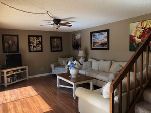 Smart TV, DVD player, books, stereo