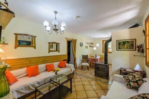 TV, fireplace, books