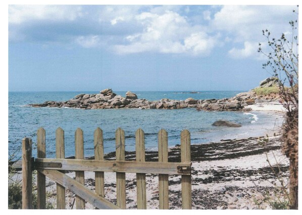 Plage, chaises longues