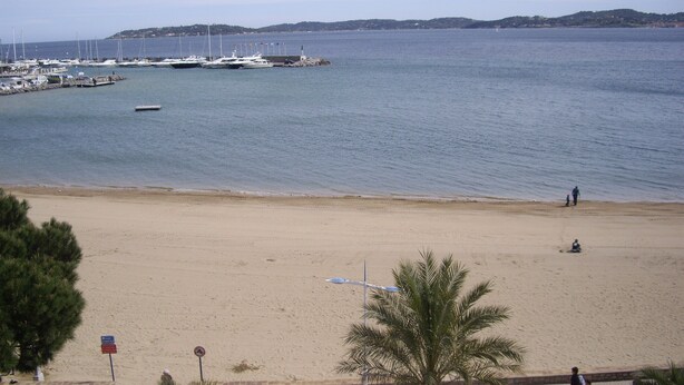A beach with a marina in the background, palm trees, and a paved walkway. - APARTMENT IN SAINTE MAXIME (Sainte-Maxime)