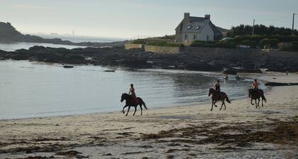 Gite Wifi Kayaks Stand up paddle 'feet in the water' in Portsall Dogs ok