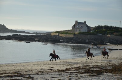 Gite Wifi Kayaks Stand up paddle 'feet in the water' in Portsall Dogs ok