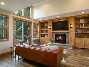 Smart TV, fireplace, music library, video library