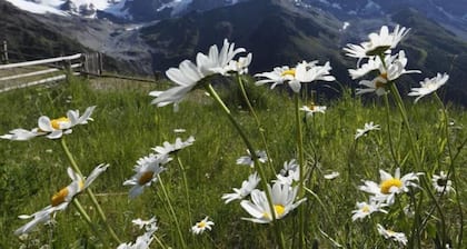 Solda: Lejlighed i bjergene på 1900m Solda all'Ortles (BZ-Italien) Val Venosta