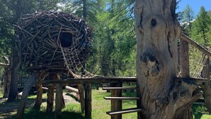 Una estructura de madera con un puente colgante y una construcción tipo nido hecha de ramas.