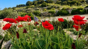 Una torre cilíndrica blanca con techo cónico, rodeada de follaje y amapolas rojas.