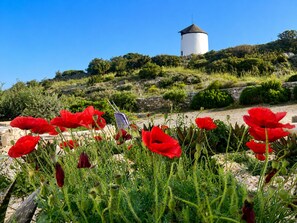 Une tour cylindrique blanche, surmontée d’un toit conique, entourée de verdure et de coquelicots rouges.