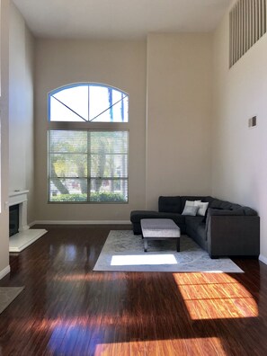 Télévision, cheminée, lecteur de DVD, livres