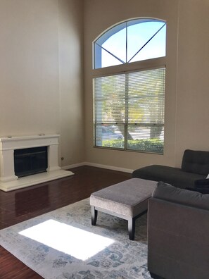 Télévision, cheminée, lecteur de DVD, livres