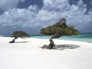 Playa en los alrededores, camastros y toallas de playa 