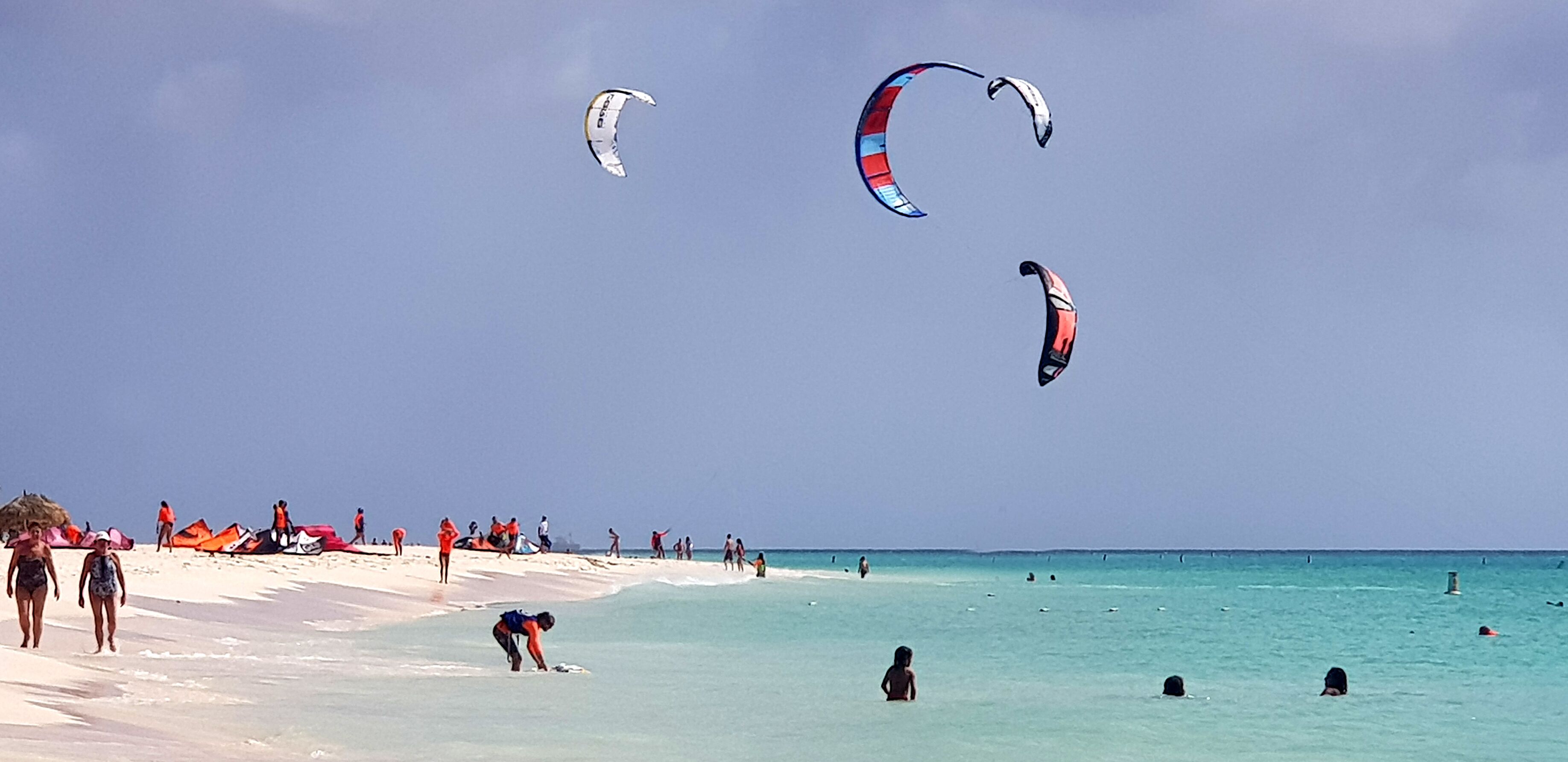 A beach with people, kites, and a clear sky.