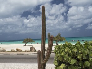 Playa en los alrededores, camastros y toallas de playa