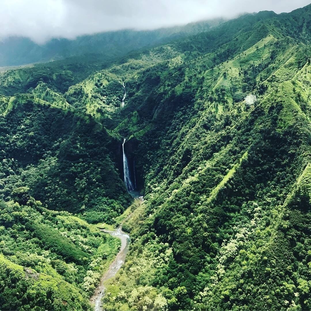 Steps Away From Poipu Beach * A/C * Newly Remodeled * Family Friendly - Photo 26