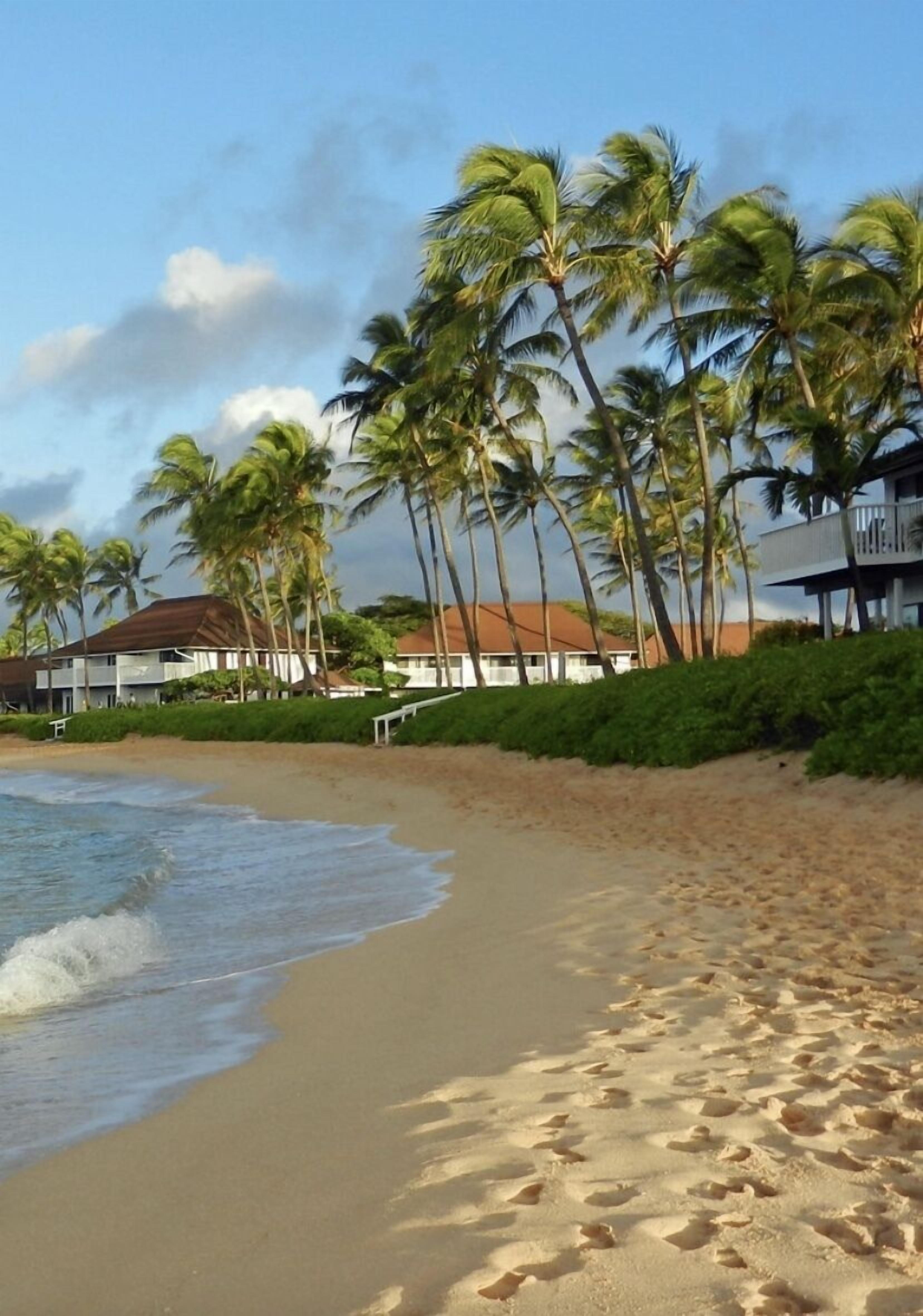 Beach nearby, sun loungers, beach towels