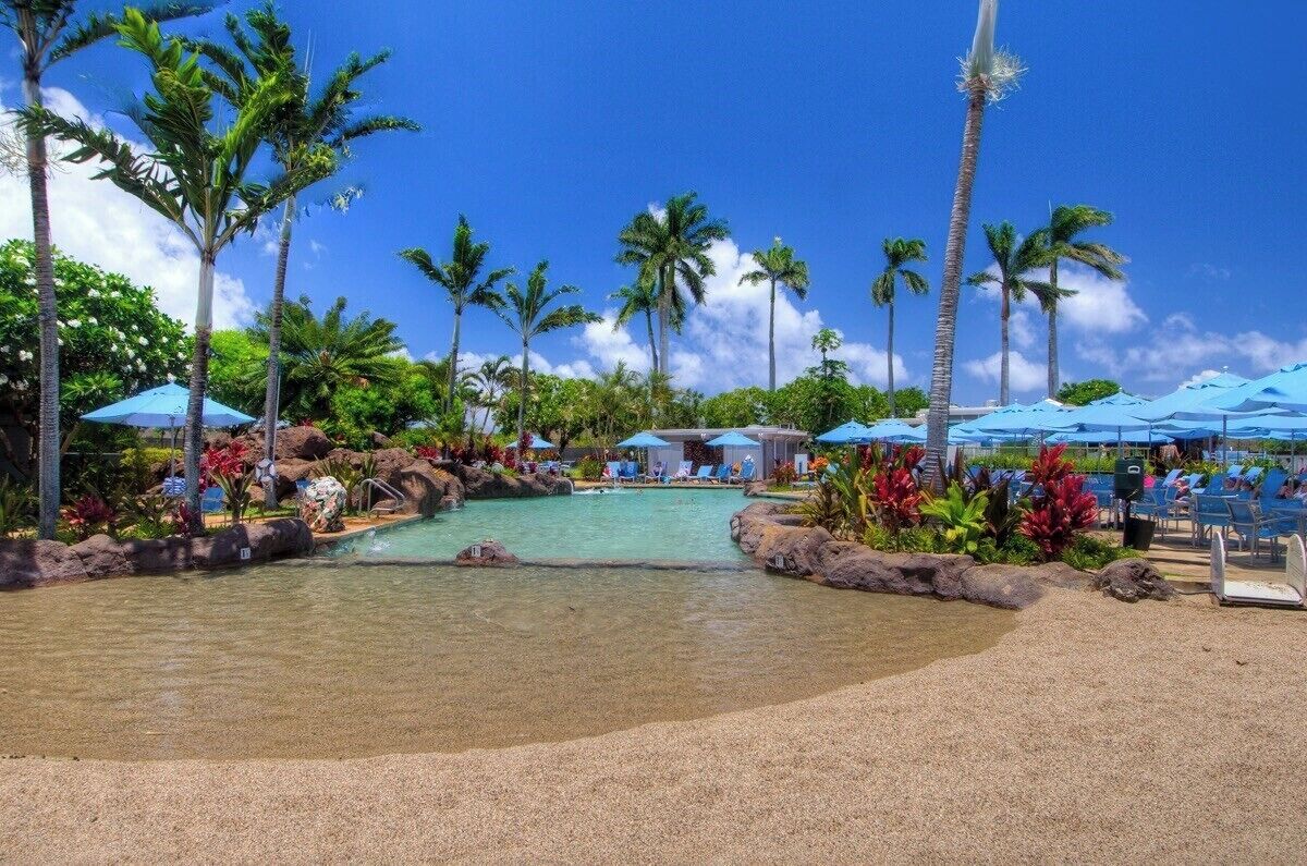 A resort pool area with palm trees, lounge chairs, and umbrellas.