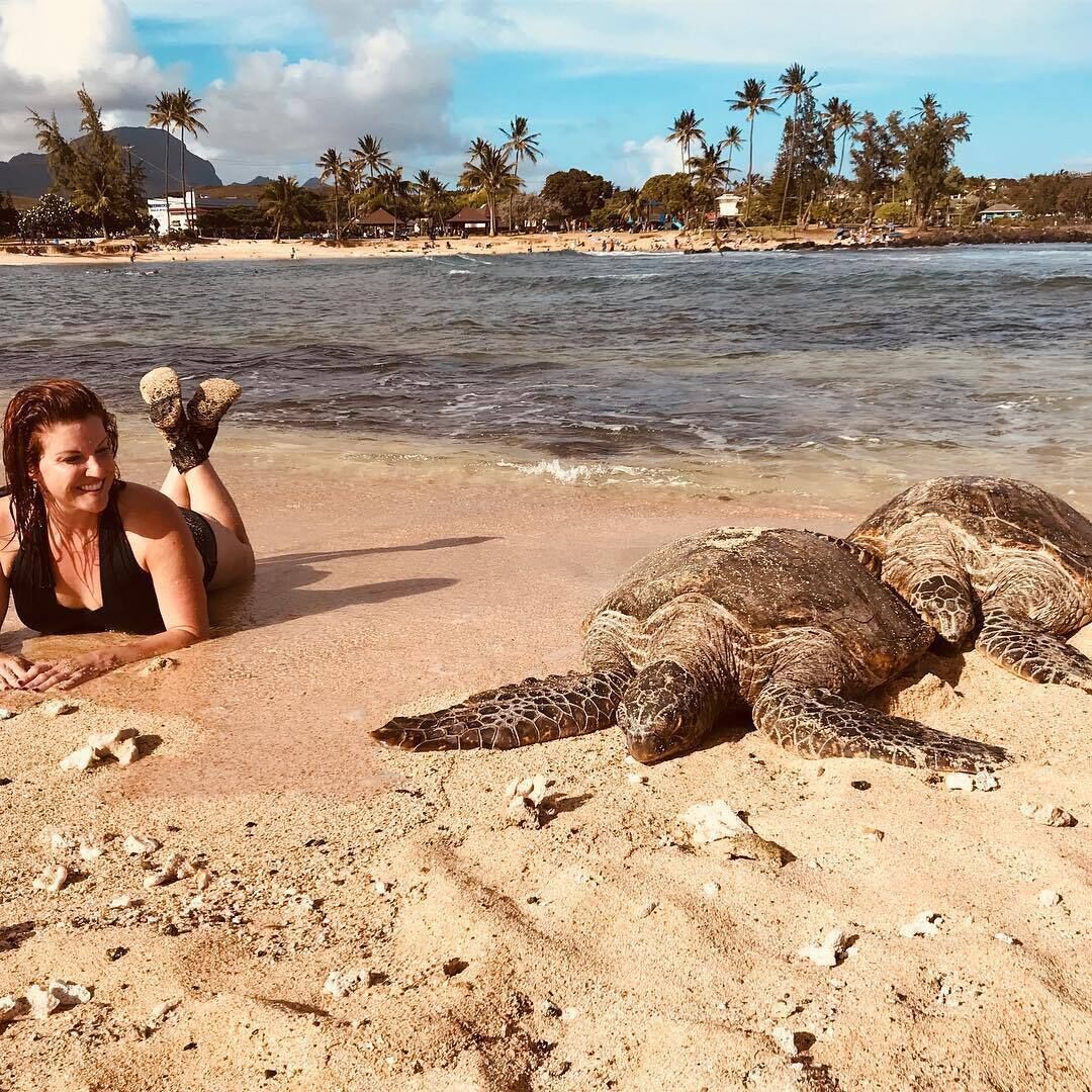 Beach nearby, sun loungers, beach towels
