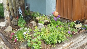 Een tuin met bomen, een houten tuinhuis en diverse planten en bloemen.