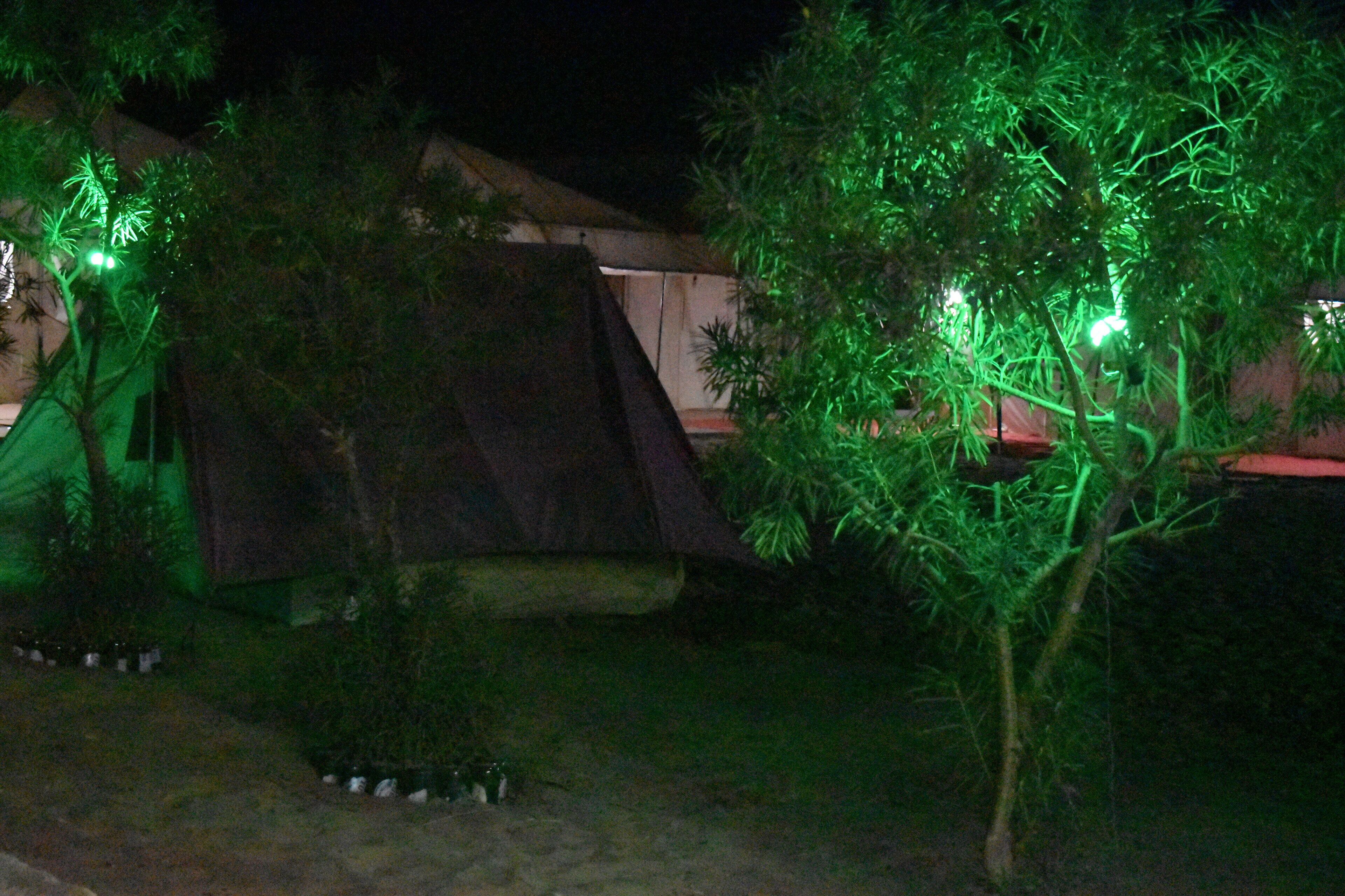 A nighttime view of a building with green lighting, surrounded by trees and a small garden area.