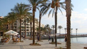 Une promenade bordée de palmiers, avec des tables en plein air et une vue sur le bord de l’eau.